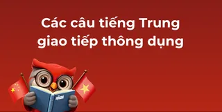 ToÌÌng hoÌÌ£p caÌc caÌu tieÌÌng Trung giao tieÌÌp thoÌng duÌ£ng (CoÌ PDF mieÌÌn phiÌ)